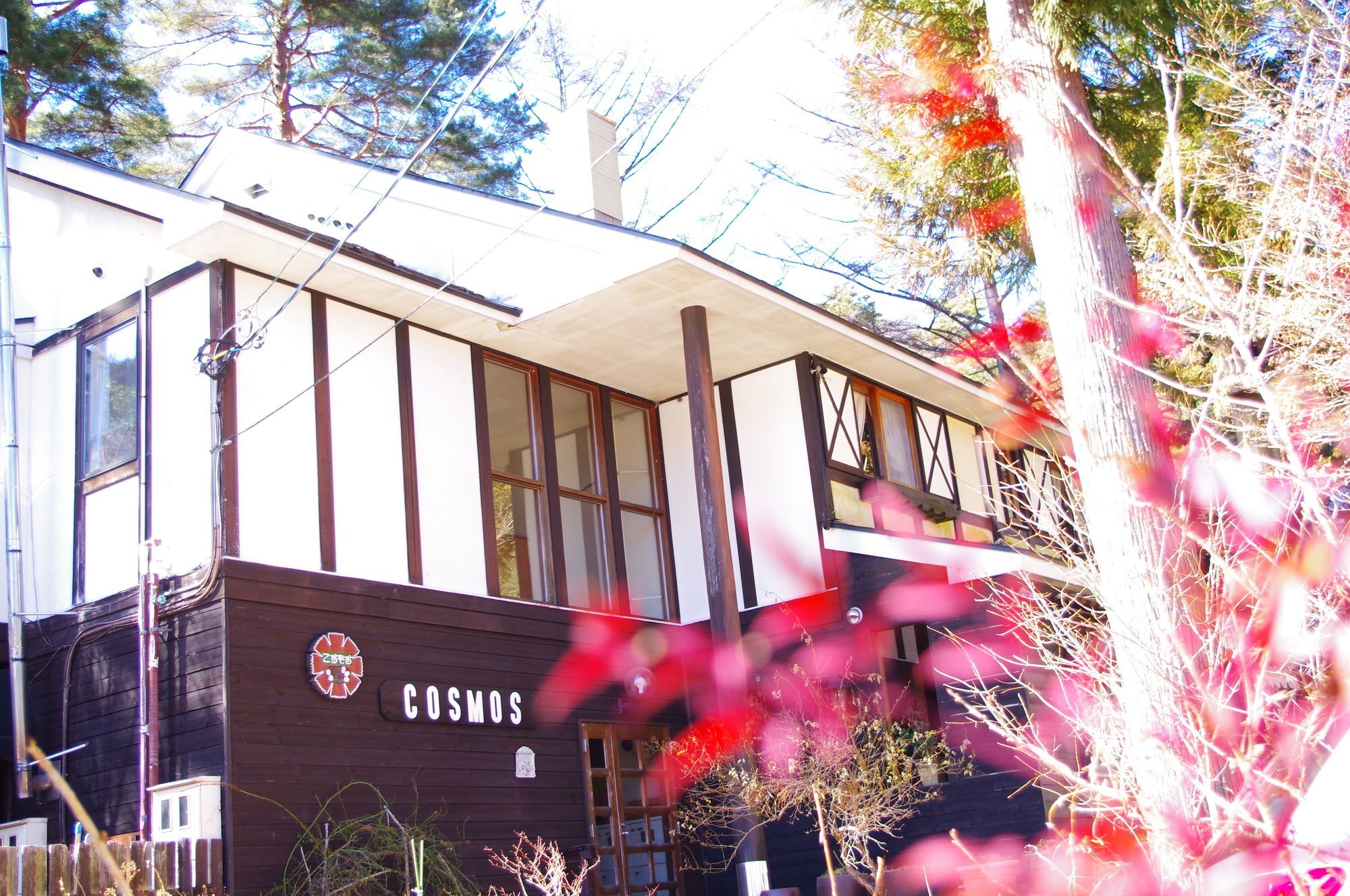 Forest Resort Cosmos Fujikawaguchiko Bagian luar foto